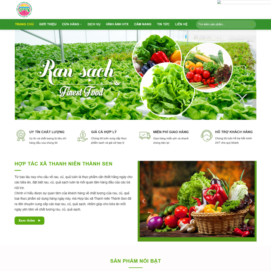 Web mẫu dịch vụ bán rau sạch
